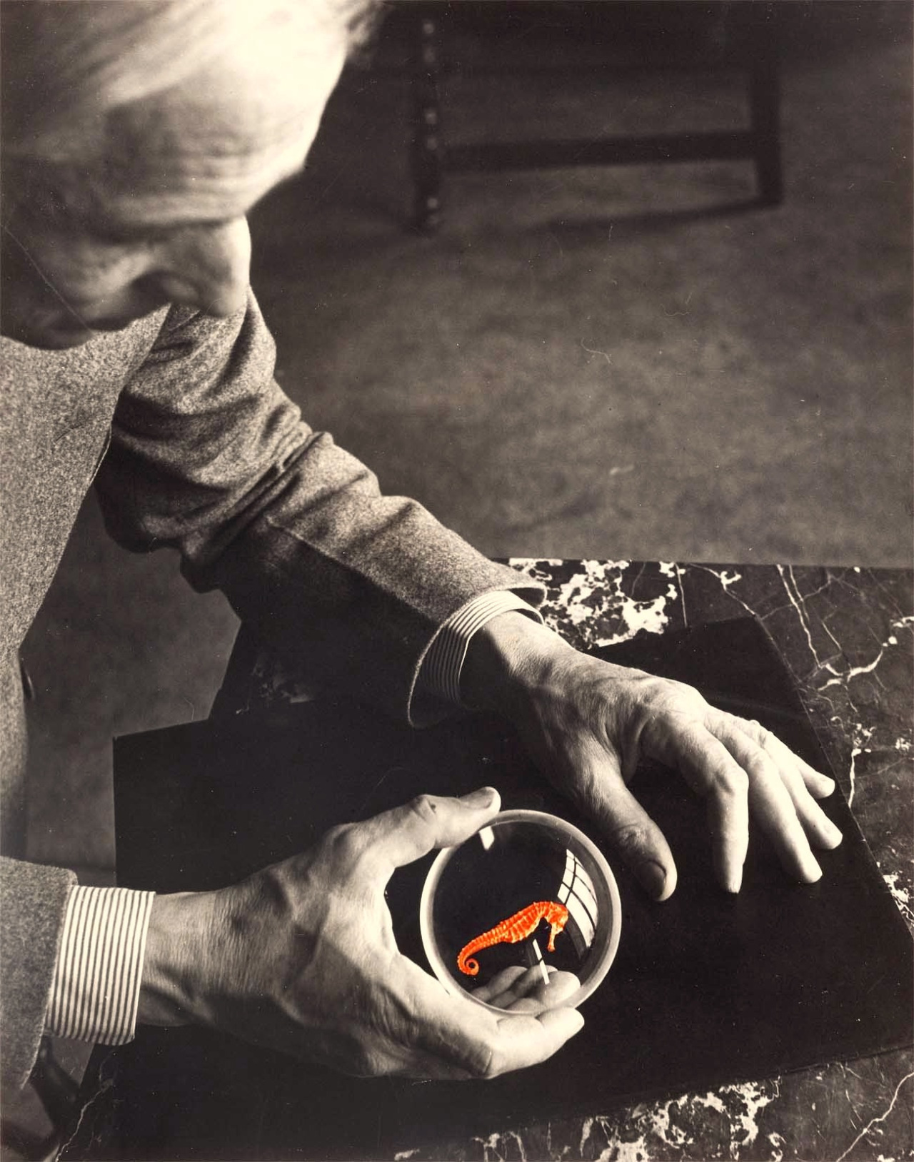 Josef Breitenbach : Max Ernst et l'hippocampe. New York, 1942