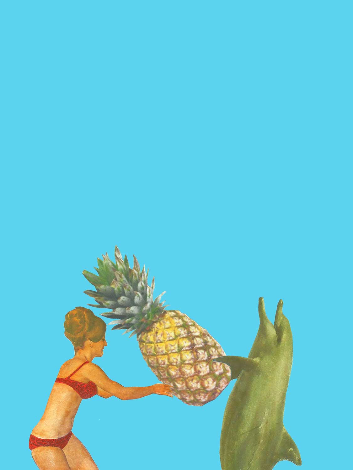 Max Dixon : Illustration Ananas