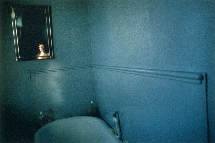 Nan Goldin : Self portrait in blue bathroom