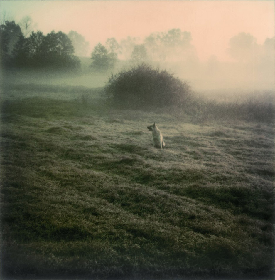 Andrey Tarkovsky : Polaroid