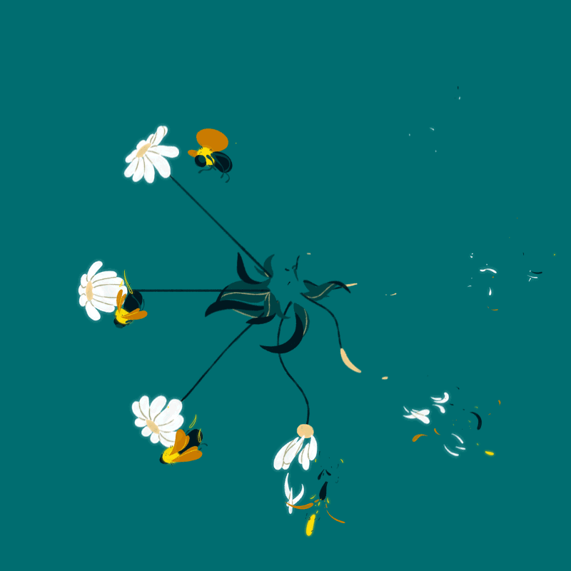 Anna Taberko : Animation 1