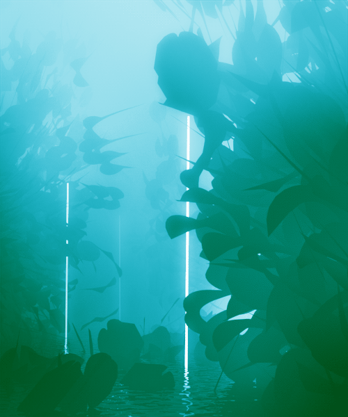 Carl Burton : Animation 03