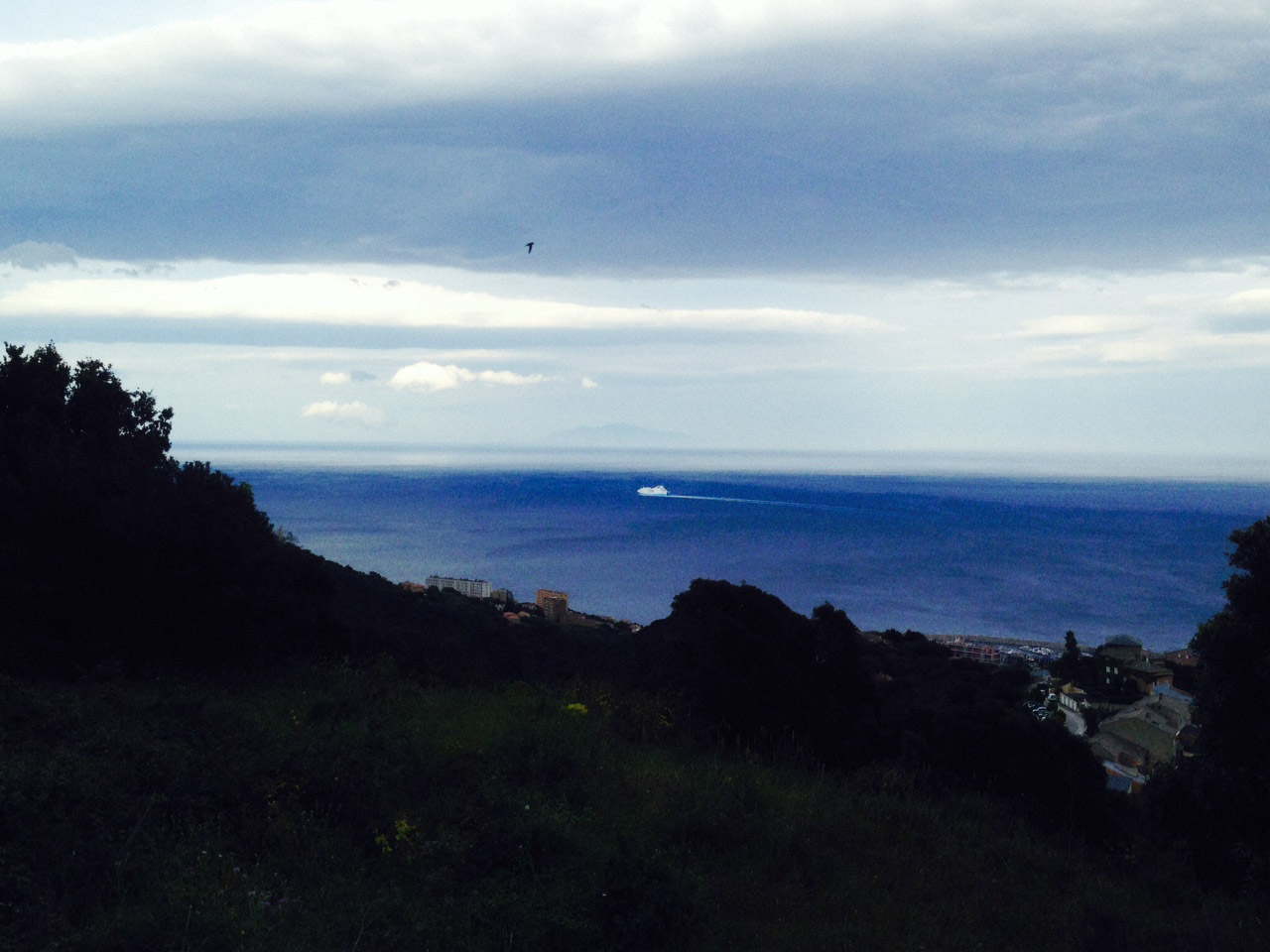 Claire Ceira : Photo 2