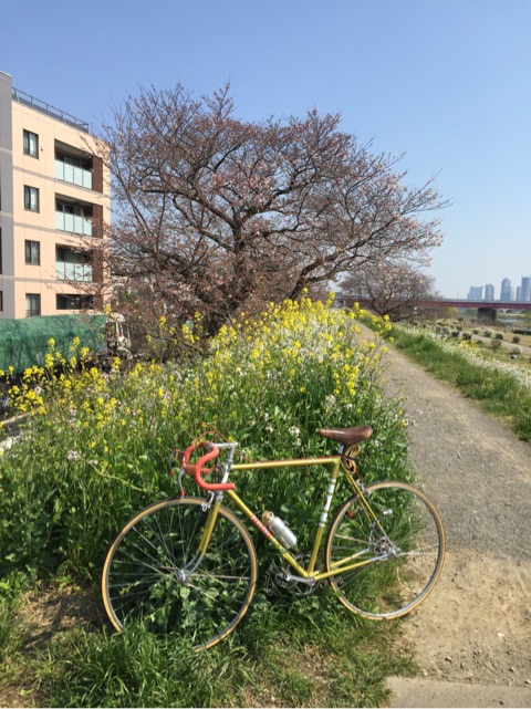 Inconnu : Inconnu (Japon)