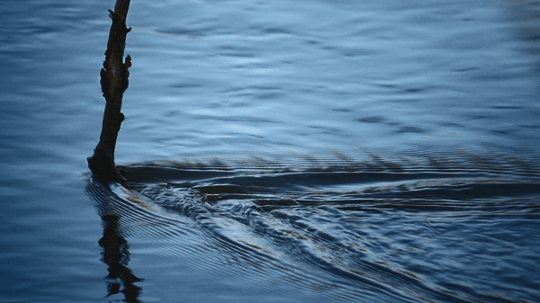 Julien Douvier : Nature 03