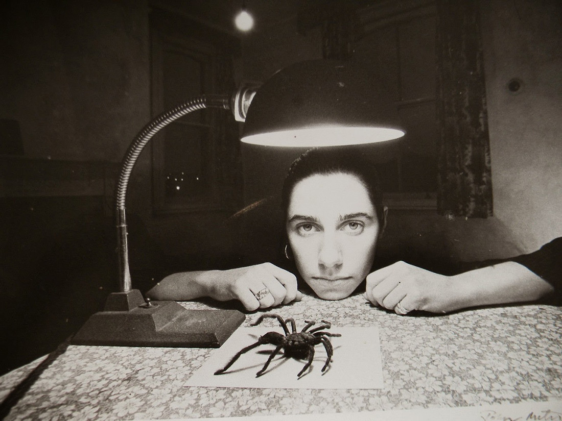 PJ Harvey par John Miles