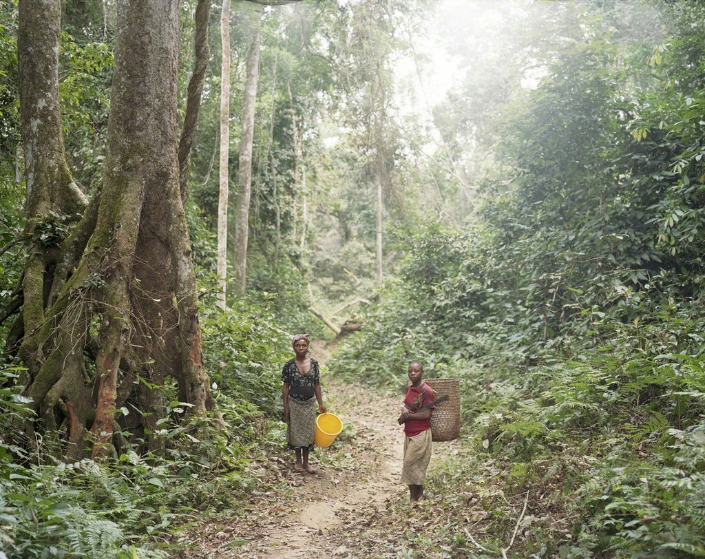 Sasha Bezzubov : Pygmy Women on the Way to Fish in the River, Northern Gabon