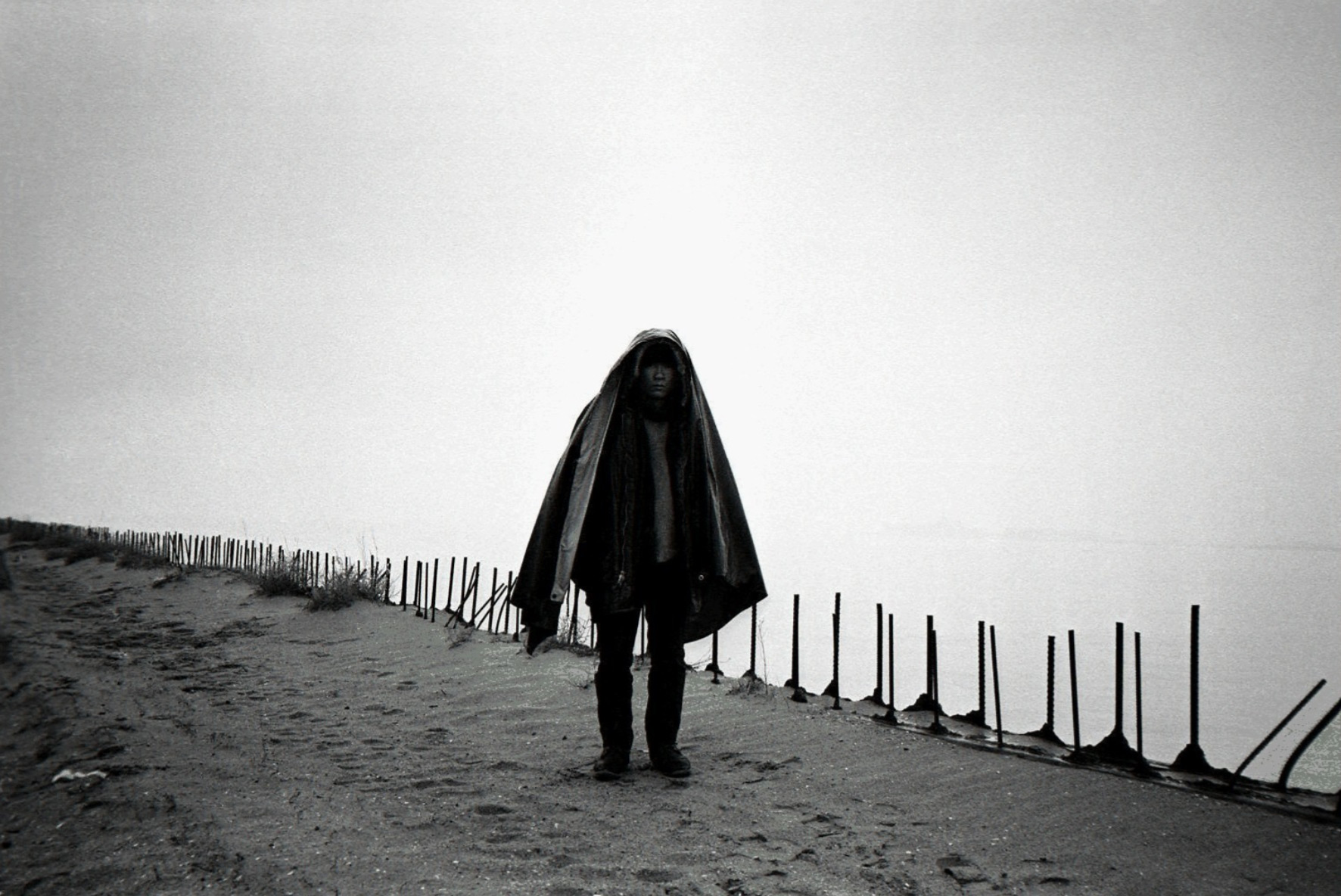 Tehching Hsieh : One Year Performance, 1981