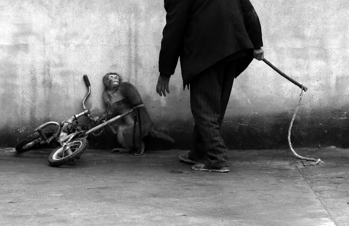 Yongzhi Chu : Untitled